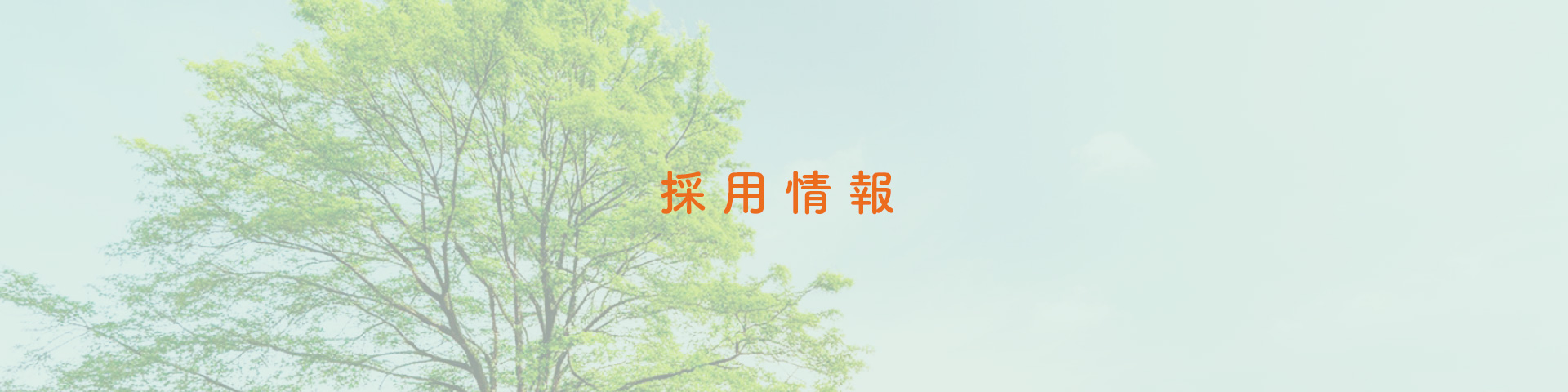 採用情報